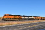 BNSF 6116/9766/6213